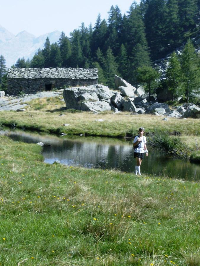 Mansarda plein soleil Villa Donnaz Buitenkant foto
